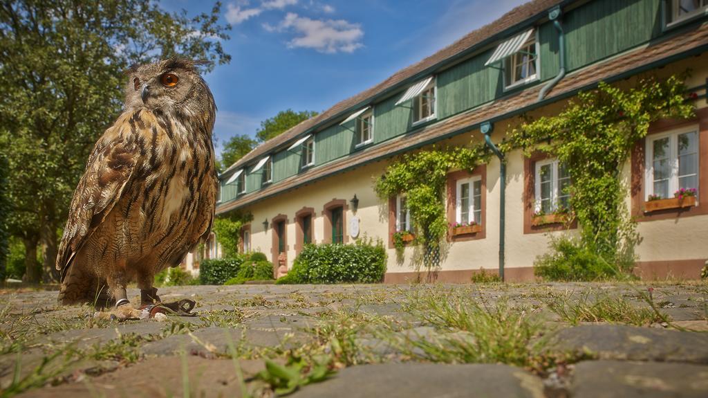 Der Linslerhof - Hotel, Restaurant, Events & Natur Uberherrn Ngoại thất bức ảnh